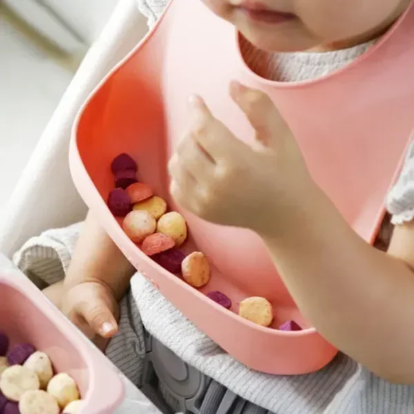 Silikon Food Grade, Set piring - Baby Food Nutrition ulasan dan harga